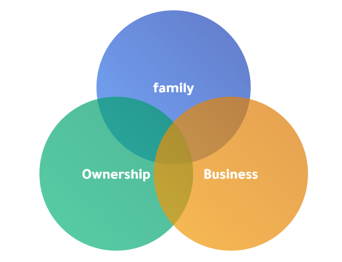 Three Circles Model - Family, Ownership, Business